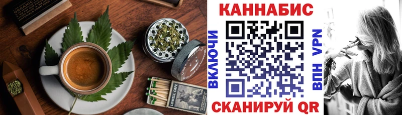 как найти   Волгореченск  Еда ТГК конопля 