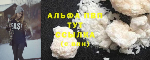 индика Семёнов