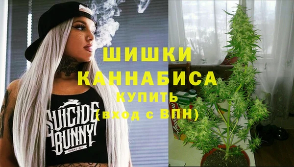 гидра Бронницы