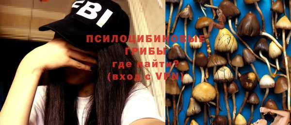 индика Семёнов