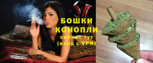 ALPHA PVP Богородицк