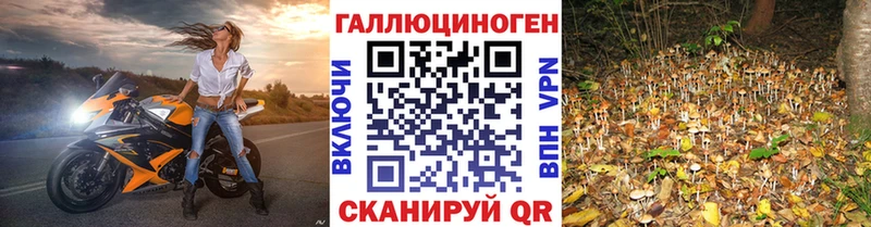 Галлюциногенные грибы прущие грибы  купить наркоту  Волгореченск 