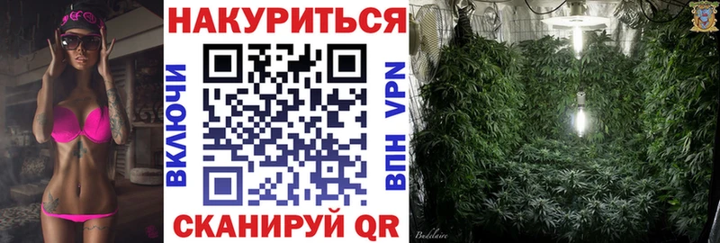 Бошки Шишки гибрид  Волгореченск 